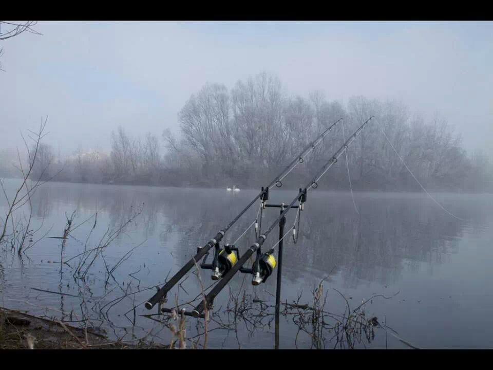 Diverse - img53288715001495.jpeg